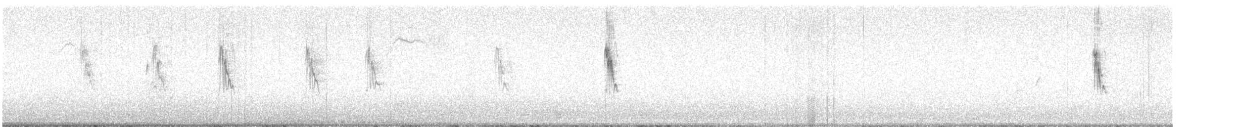 Berthelot's Pipit - ML629511985