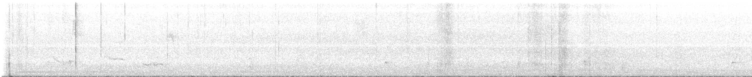 Ash-throated Flycatcher - ML629512335