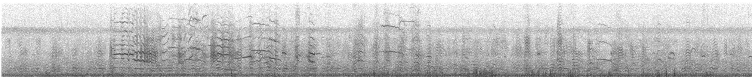 שחף צוחק - ML629515127