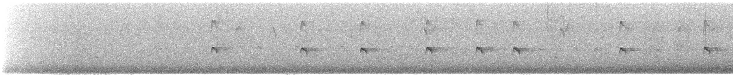 Pygmy Nuthatch - ML629516218