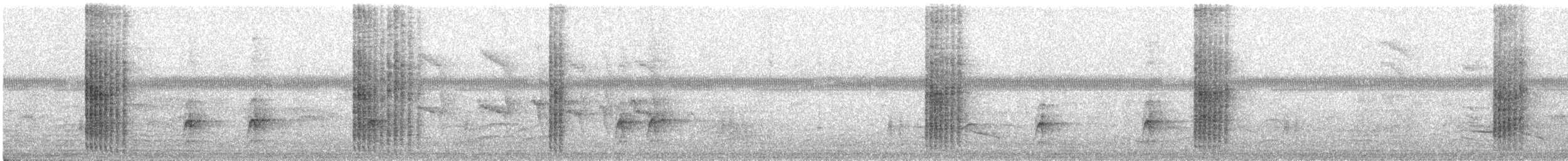 Streak-backed Oriole - ML629516393