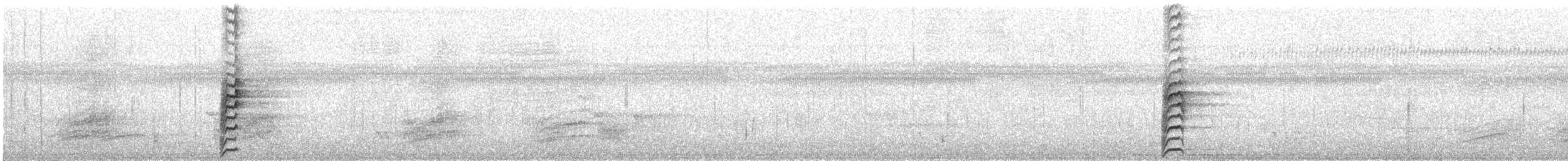 Least Grebe - ML629516809