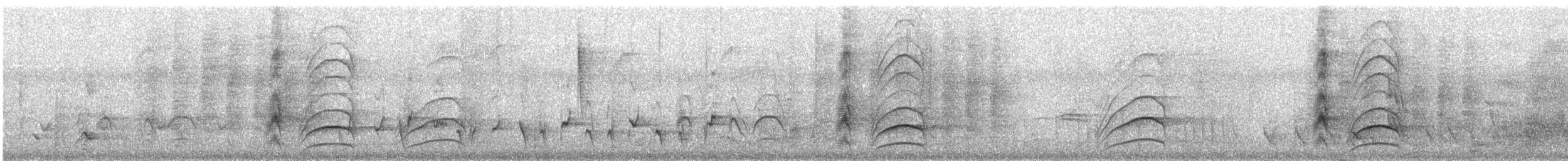 Russet-naped Wren - ML629517057