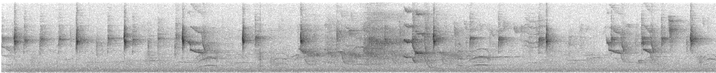 MacGillivray's Warbler - ML629517334