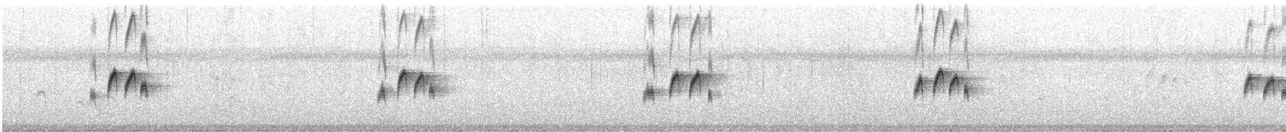Tropical Kingbird - ML629517898