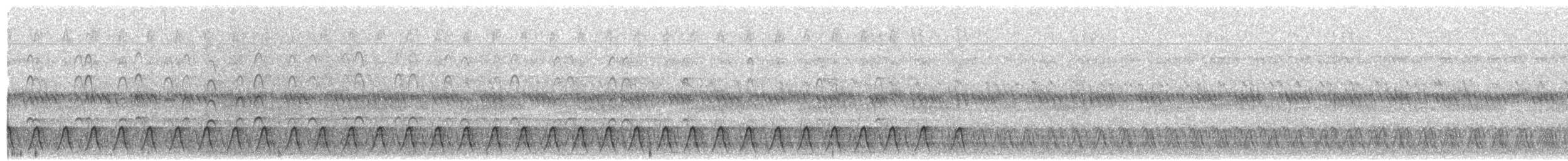 Engoulevent de Reichenow - ML629518100