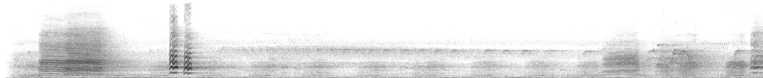 Pacific Black Duck - ML629526565