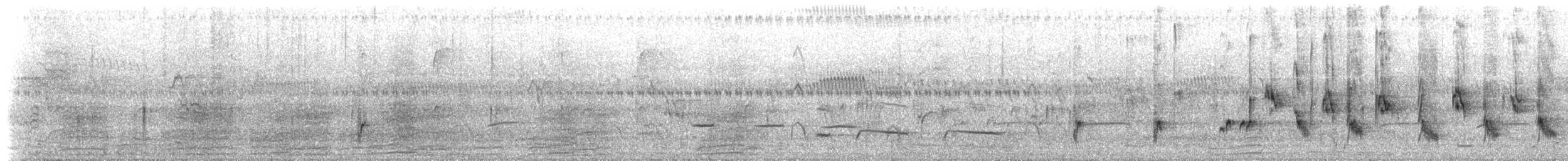 Australian Reed Warbler - ML629527281