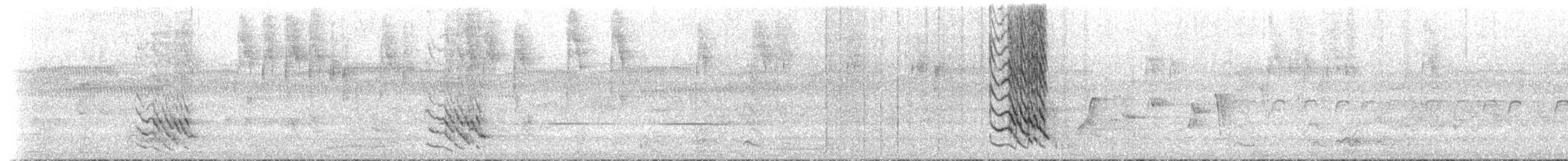 Black-faced Cuckooshrike - ML629527445