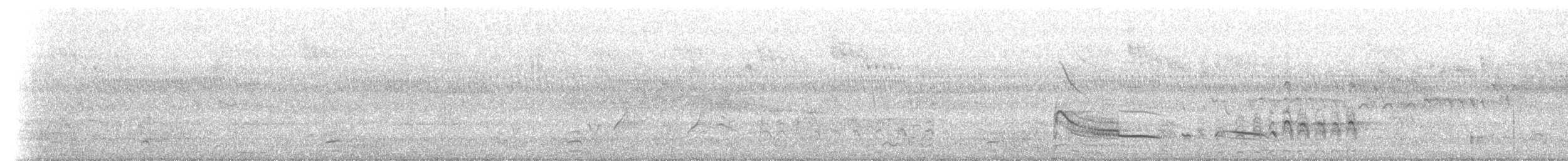 Whistling Kite - ML629527472