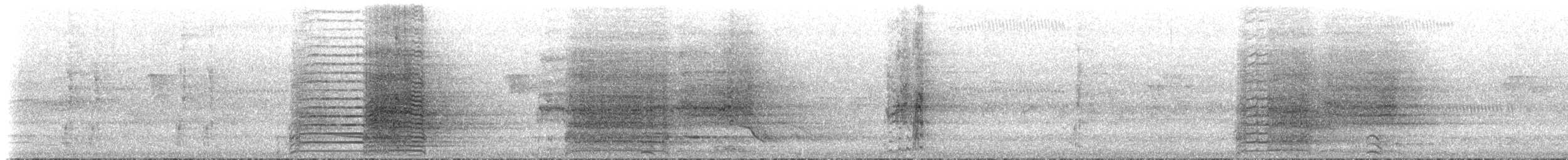 pták sp. - ML629527675