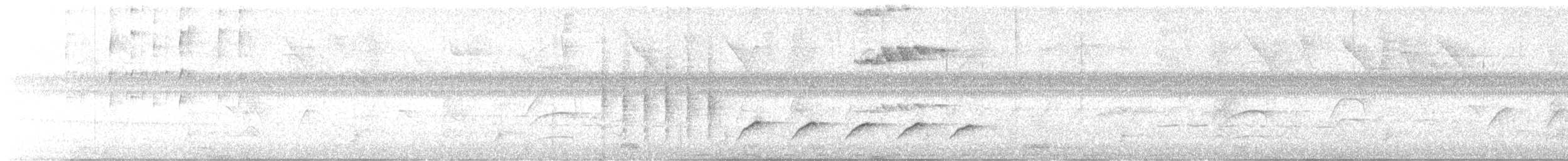 Long-billed Gnatwren - ML629527890