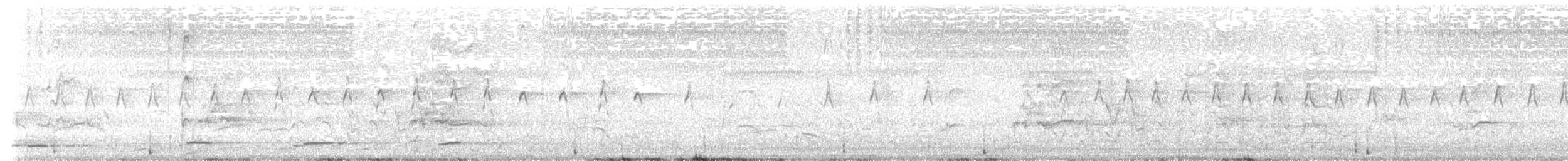 Australasian Grebe - ML629529054