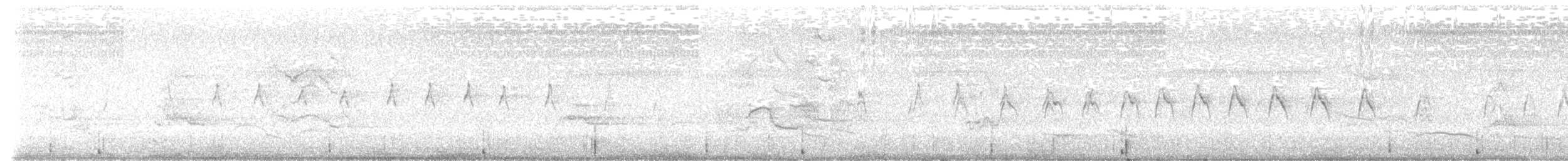 Australasian Grebe - ML629529055