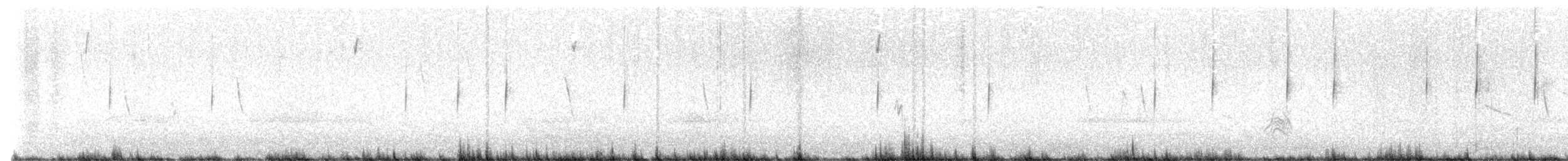 Cream-winged Cinclodes - ML629532792