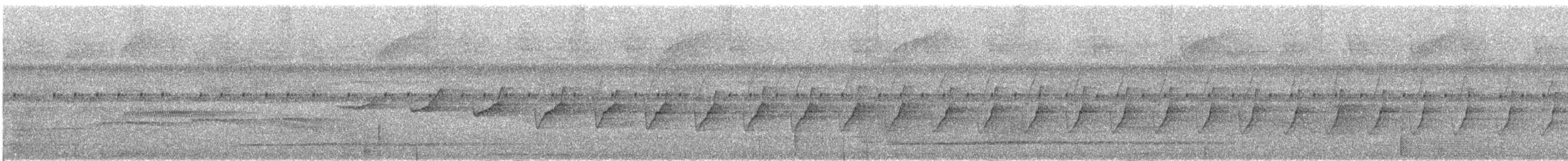 Plain-throated Antwren - ML629536499