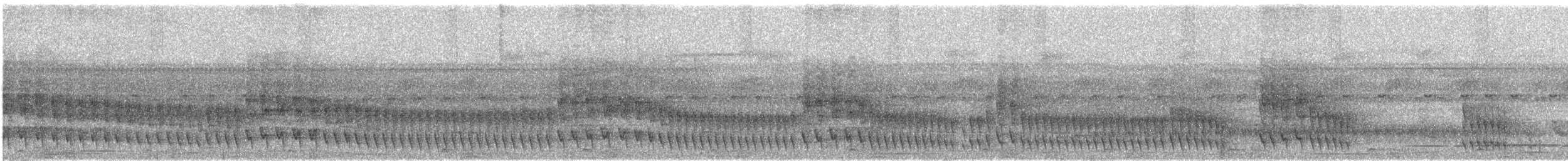 Plain Softtail - ML629536785