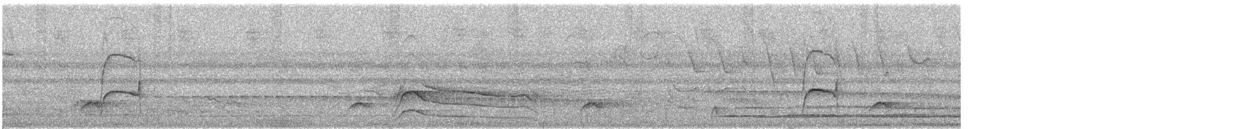 Drab Water Tyrant - ML629536787