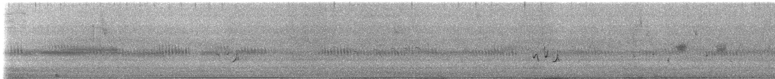 Stubble Quail - ML629543735