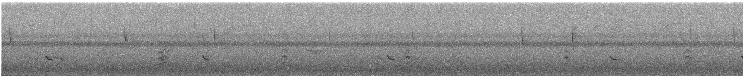 Lesser Yellowlegs - ML629548764