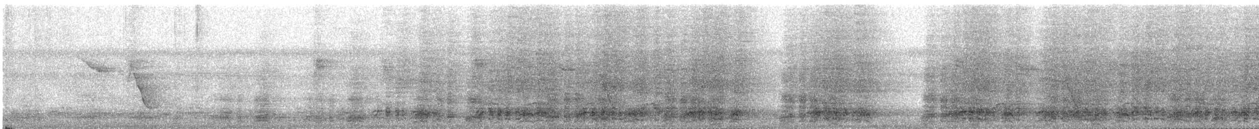 Speckled Chachalaca - ML629549225