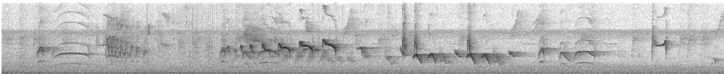 Black-throated Antbird - ML629549738