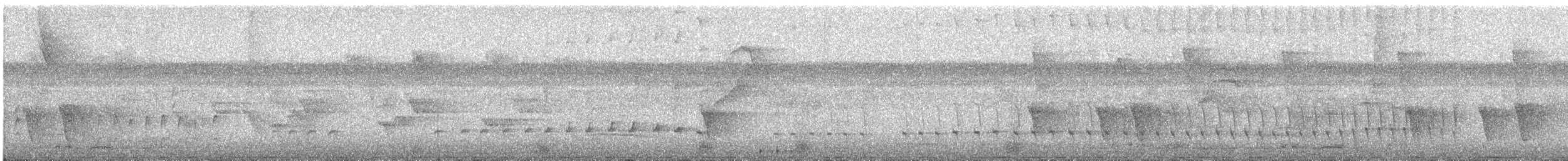 Straight-billed Woodcreeper - ML629549935