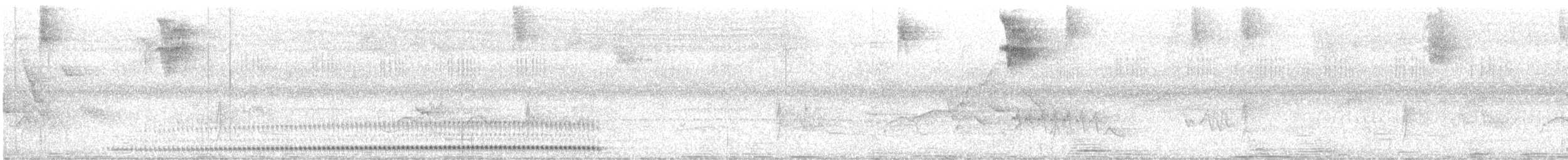 White-breasted Tapaculo - ML629551756
