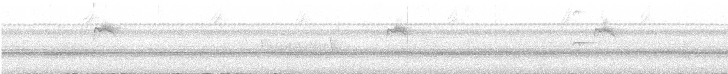 Variegated Flycatcher - ML629551803