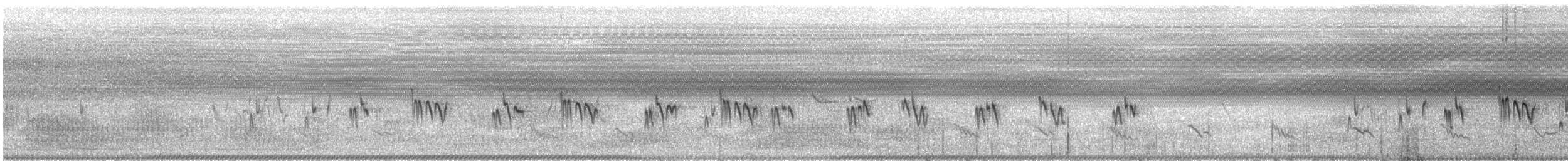 Long-billed Crombec - ML629553784