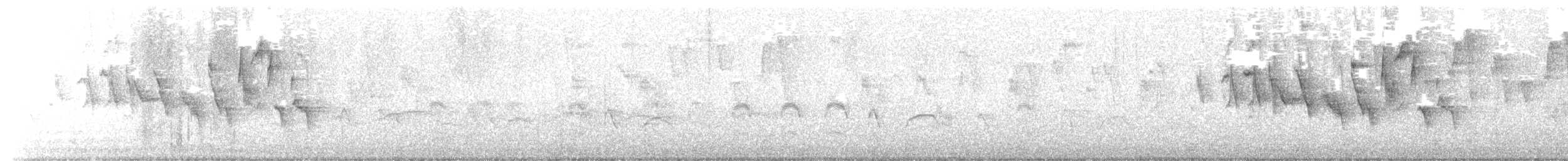 Double-collared Seedeater - ML629561985