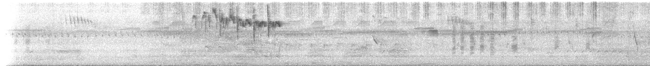 Southern Emuwren - ML629566796