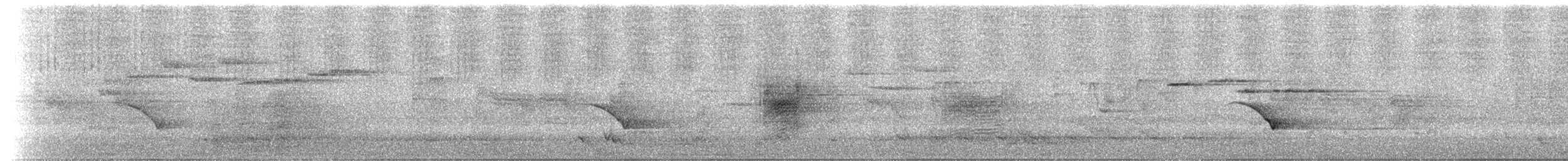 ビロードヒラハシ - ML629566836