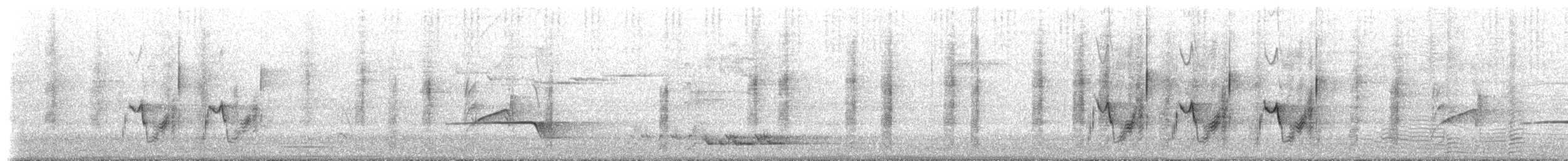 ビロードヒラハシ - ML629566882