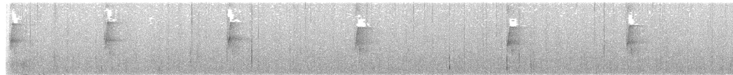 Middle American Leaftosser - ML629567251