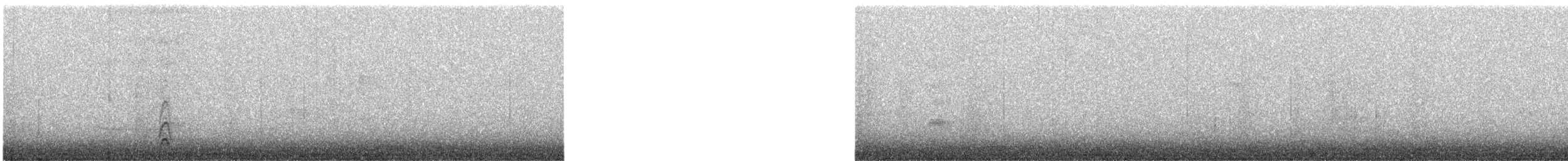 American Robin - ML629568571