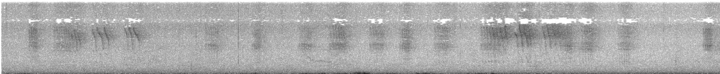 Austral Thrush - ML629573757
