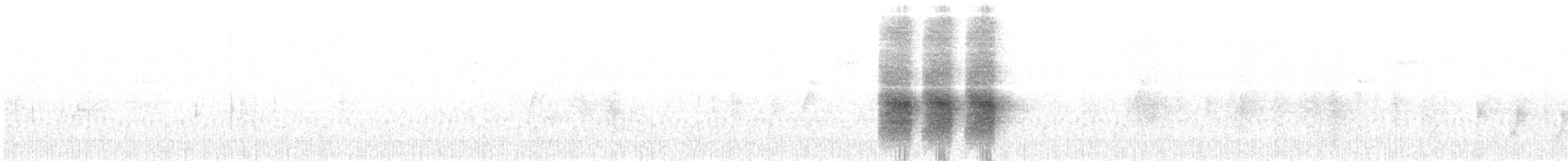 Racket-tailed Treepie - ML629574188