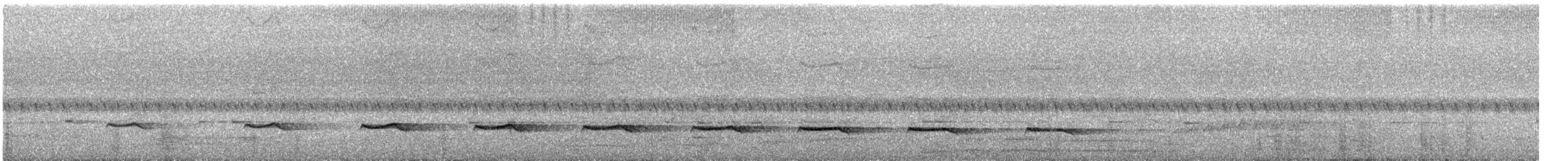 Sahul Brush Cuckoo - ML629578596