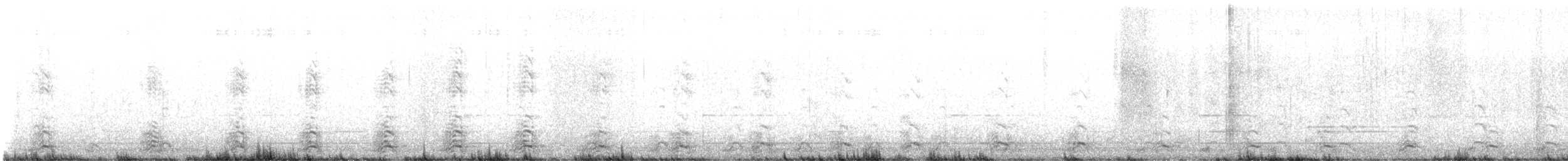 Western Gull - ML629579745