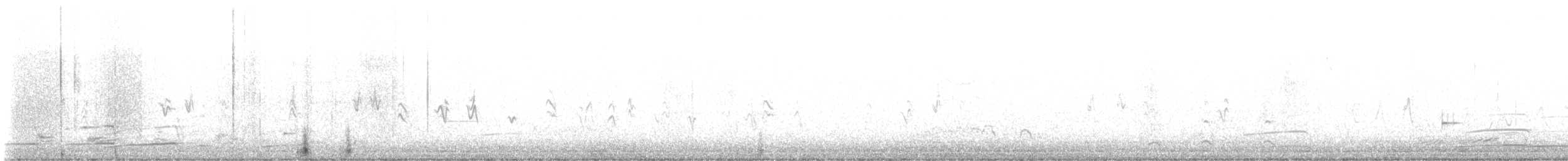 Western Gull - ML629579789