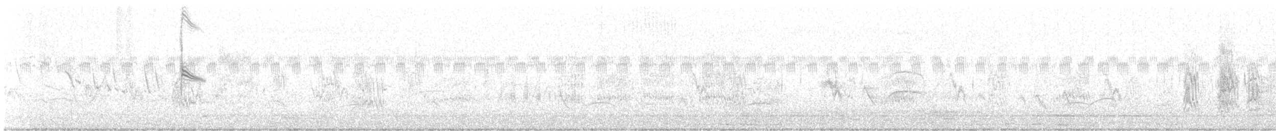 Sturnelle à sourcils blancs - ML629589306