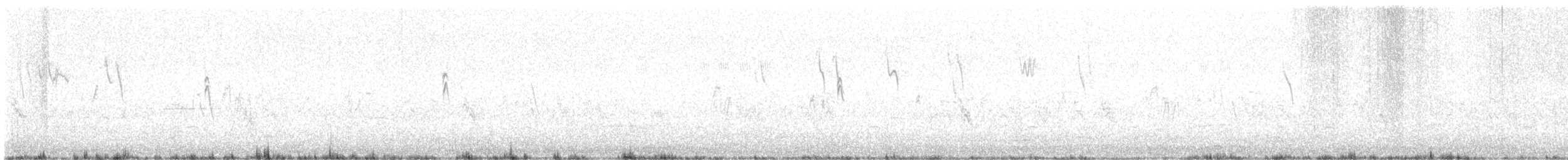 Sturnelle à sourcils blancs - ML629590375