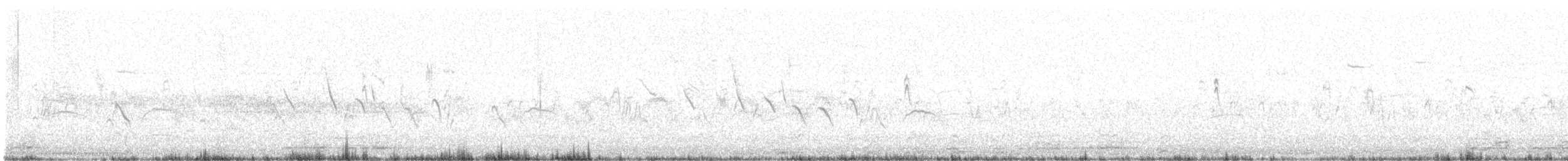 Sturnelle à sourcils blancs - ML629590376
