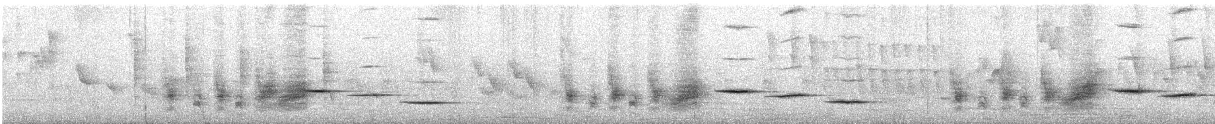 hvitvingepløsøye - ML629590790