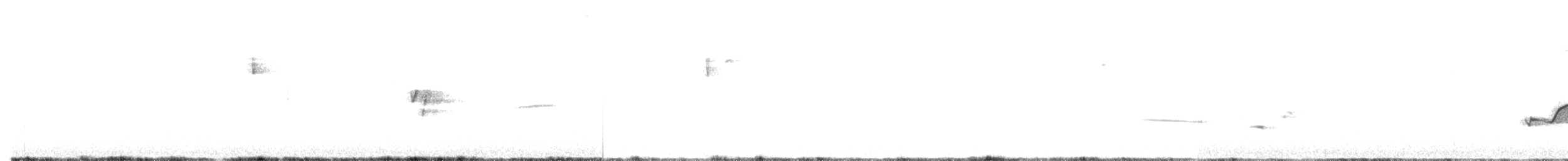Bruant fauve (groupe megarhyncha) - ML62959281
