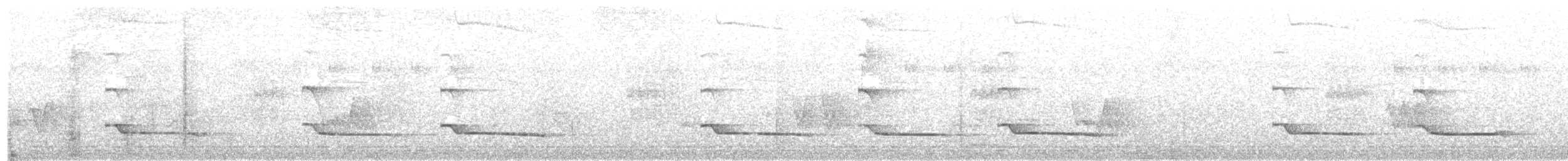 Atila Cabecigrís - ML629600028