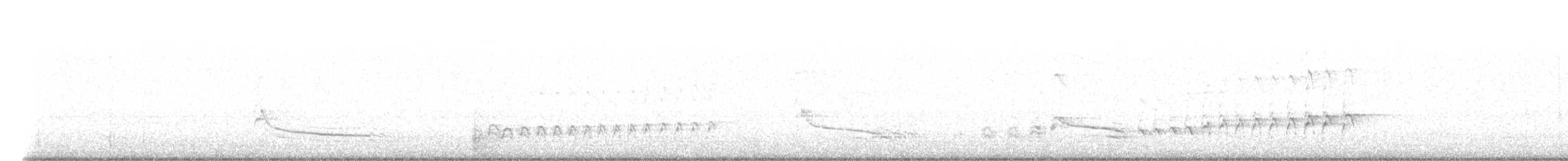 Whistling Kite - ML629601684