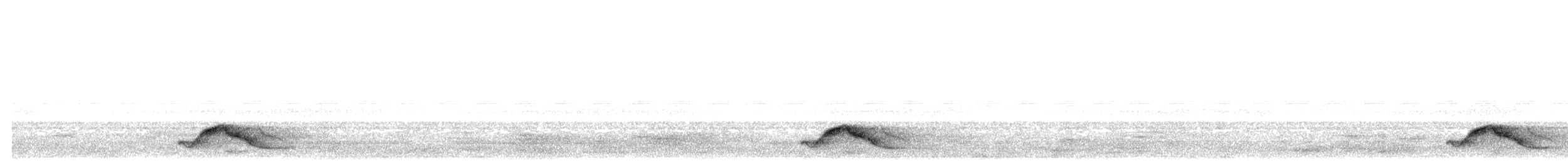 Common Pauraque - ML629608792