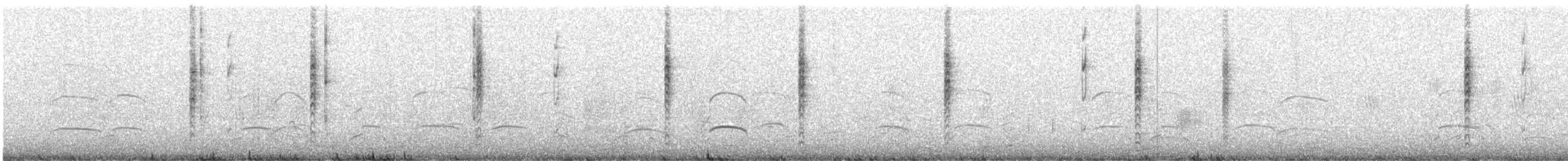 Wren-like Rushbird - ML629611431